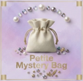 Petite Mystery Bag