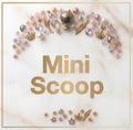 Mini Mystery Scoop